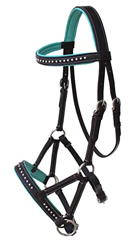 CHALLENGER Horse Western English Brown Leather Bitless Sidepull Padded Bridle Reins Teal 7708BRT