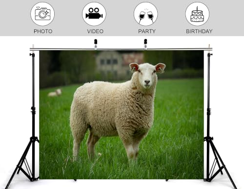 5x3ft Fabric Woolly White Sheep Backdrop Fluffy Thick Wool Sheep Lush Bright Green Pasture Distant Farm House Background Tapestry Farm Animal Decorations Photo Booth Props - size: 5x3ft