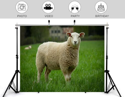 7x5ft Fabric Woolly White Sheep Backdrop Fluffy Thick Wool Sheep Lush Bright Green Pasture Distant Farm House Background Tapestry Farm Animal Decorations Photo Booth Props - size: 7x5ft