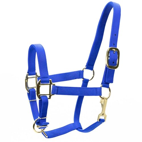 Jeffers Adjustable Nylon Horse Halter w/Throat Snap, 3 Ply Webbing, Chin Strap, Heavy Duty Throat Snap, Sturdy Hardware, Equine Halter for Training, Leading - color: Royal Blue, size: Yearling Horse (400-600 lb)