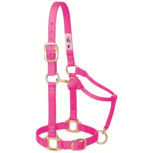 Weaver Leather Original Adjustable Nylon Horse Halter, Suckling, Diva Pink