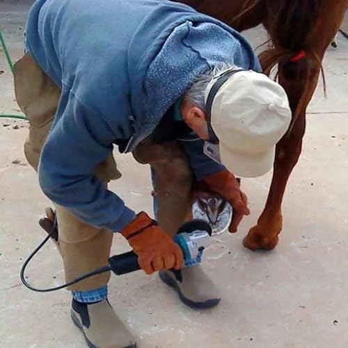 Arinda Goat Hoof Trimmers Tool - Professional Electric Hoof Trimming Disc, Metal Wood Carving Tools for Angle Grinder Attchments, Horses Cow Foot Repair (Blue 6 Teeth) - color: Blue 6 Teeth