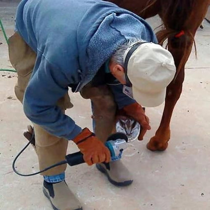 Arinda Goat Hoof Trimmers Tool - Professional Electric Hoof Trimming Disc, Metal Wood Carving Tools for Angle Grinder Attchments, Horses Cow Foot Repair (Blue 6 Teeth) - color: Blue 6 Teeth
