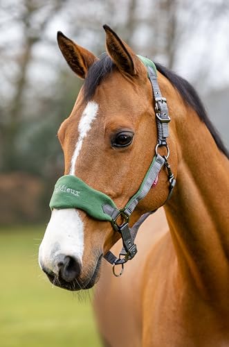 Lemieux Vogue Fleece Headcollar with Lead Rope in - size: Full