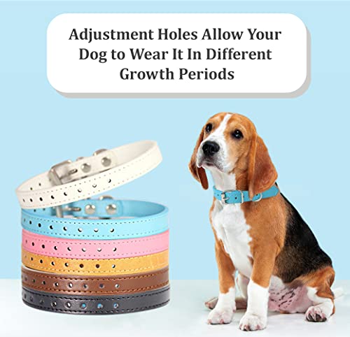 Puppy Collar for Litter Adjustable Leather ID Collars for Puppy Small Dog - size: S(Neck:6''~13'')