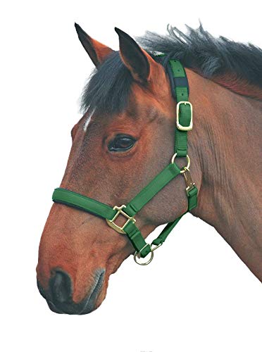 Shires Topaz Leather Breakaway Nylon Headcollar - color: Dark Greeen, size: Small Pony