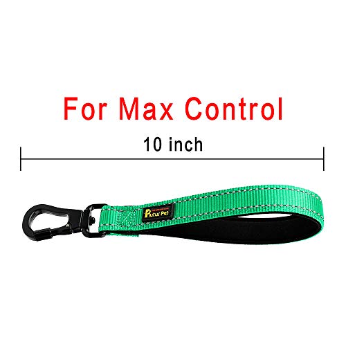 PLUTUS PET 10” Short Dog Leash, Reflective Nylon Padded Handle, Strong Traffic Leash with Carabiner Clip, Perfect for Large or Medium Dogs（10”，Green | Reflective, Heavy Duty Strong Nylon, Traffic Leash with Carabiner Clip for Training Walking (10", Green)
