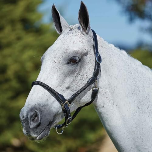 Kincade Leather Rope Halter, Black, Warmblood - color: Black, size: Warmblood