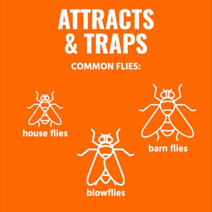 TERRO Fly Magnet Disposable Outdoor Fly Trap with Bait - T524 - Outdoor Fly Trap - Attract & Trap Flies Easily - Effective Insect Control