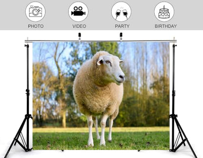 10x7ft Fabric Fluffy Wool Sheep Backdrop White Ewe Green Pasture Soft Daylight Blurred Wood Background Photography Background Tapestry Farm Animal Decorations Banner Photo Booth Props - size: 10x7ft