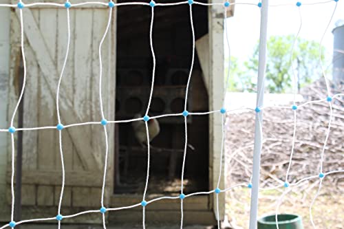 48" x 164' Electric Poultry Netting with Double Spiked Fiberglass Posts | Electric Fence for Chickens in Backyards, Homesteads, Farms and Ranches