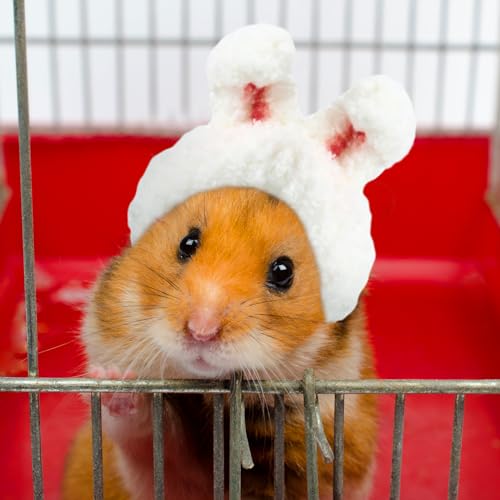 Kajaia 10 Pcs Hamster Hat Small Animals Cute Tiny Hat Mini Hand Knitted Hats for Snakes Pets Bearded Dragon Guinea Pig Bunny Costume Accessories Easter Holiday Parties (Novel Style) - style: Novel Style