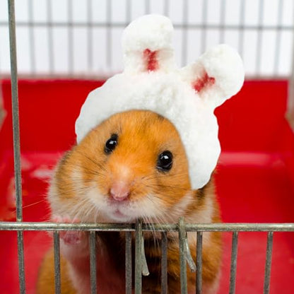 Kajaia 10 Pcs Hamster Hat Small Animals Cute Tiny Hat Mini Hand Knitted Hats for Snakes Pets Bearded Dragon Guinea Pig Bunny Costume Accessories Easter Holiday Parties (Novel Style) - style: Novel Style