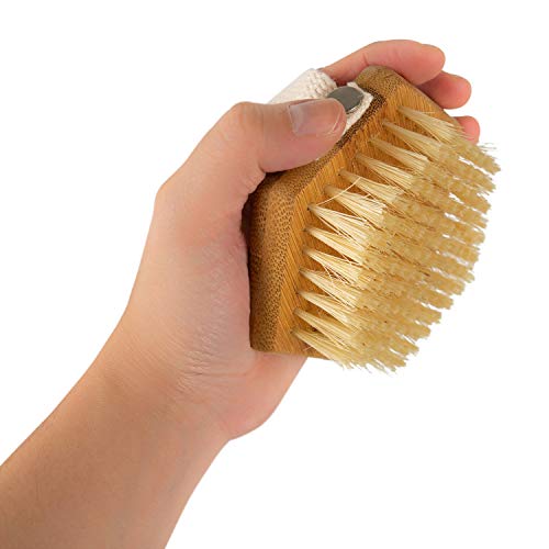 Burt's Bees for Pets Palm Brush with Hemp Bristles, Large Dogs, 24-Pack - size: 24 Count