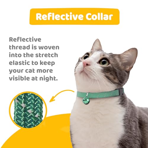 Birdsbesafe Reflective Breakaway Cat Collar with Bell, Safe Design, Green - color: Green