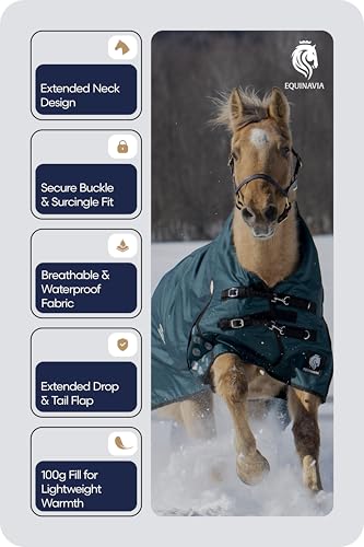 Equinavia Arktis Extended Neck Light Weight Turnout Blanket 100g - Deep Green - 75 in - color: Deep Green, size: 75 in