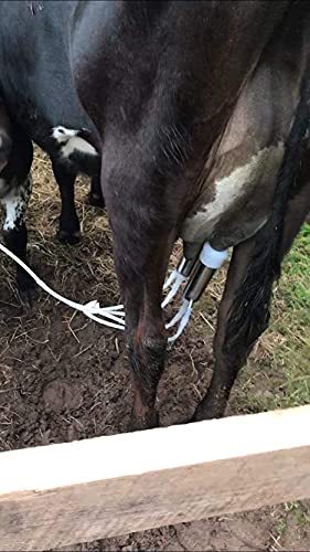 Milking Machine Accessory Cow Teat Cup, 6 Milk Hose and Bucket Lid Replacement Set