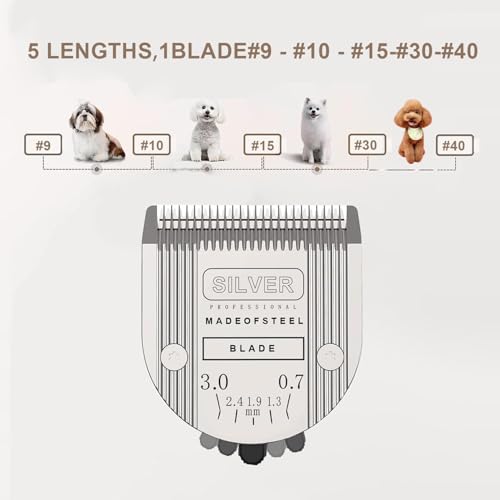 5 in 1 Replacement Blades Compatible with WAHL Bravura .Chromado - color: Silver Gray