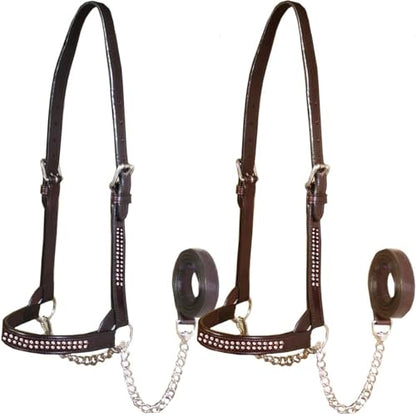 Derby Originals New and Improved Premium Crystal Bling Rhinestone Inlay Flat Leather Cattle Show Halter with Matching Chain Lead - color: Black, size: Large (950lbs-1500lbs)