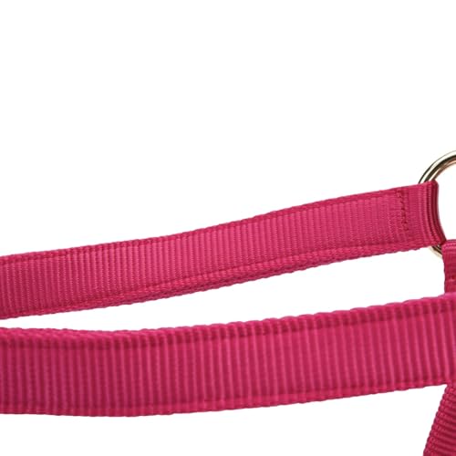 Shires ARMA Adjustable Nylon Halter - color: Raspberry, size: Cob