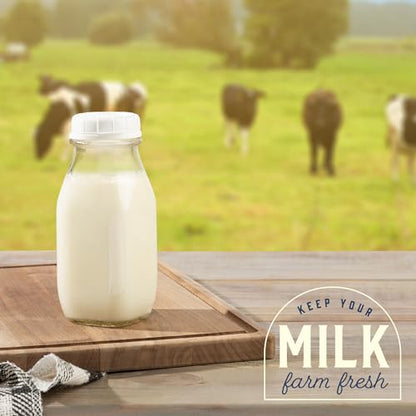 kitchentoolz 12 Oz Square Glass Milk Bottles with Lids (4 Pack) – Reusable Glass Creamer Bottles for Milk, Juice, and More – Includes Tamper-Proof Caps and One Silicone Pour Spout - size: 12 Ounce