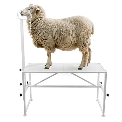 HECASA 51"x23" Sheep Livestock Trimming Stand Shearing Milking Stand