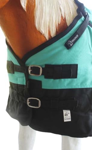 Challenger 1200D Miniature Weanling Donkey Foal Pony Horse Winter Blanket 51936B - color: Turquoise Black, size: 58 Inches
