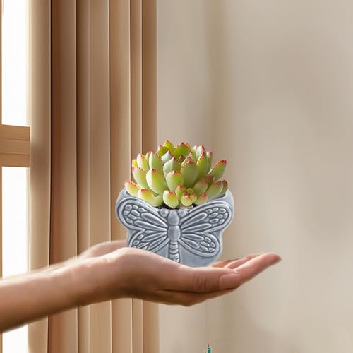 Cute Ceramic Succulent Dragofly Garden Pots w/Pottery Quality Finish, Cute Planting Pot, Indoor Plant Pot for Flowers & Herbs，Home Desktop Office Windowsill Decoration Gift. - color: Color 4