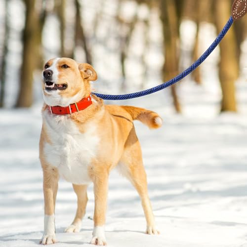 Mile High Life Dog Leash with Genuine Leather-Wrapped Ends, 4/5/6FT - color: Blue, size: 72 Inch-1/2"