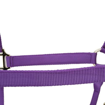 Shires ARMA Adjustable Nylon Halter - color: Purple, size: Cob