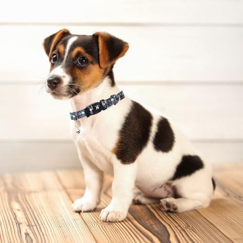 Small Dogs Collar with Bell,Puppy Collars Gift for Boys Girls Dogs-Skull XS - color: 5, size: XS (Neck 7"-9")
