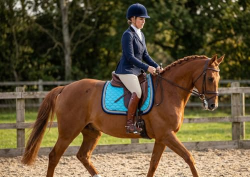 Horse Quilted ENGLISH SADDLE PAD Trail Dressage 72Dressage - color: Tuquoise Blue