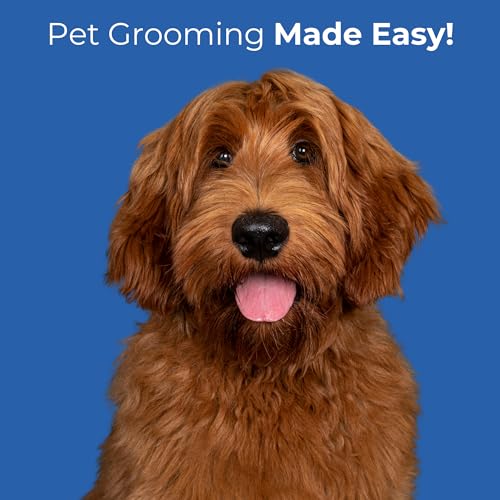 Pet Grooming Scissors Set - Round Tip Shears for Dogs & Cats