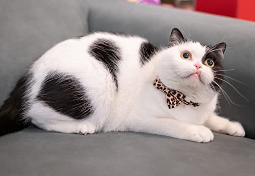 Collar for Cat Pet Breakaway with Bell Bowtie Detachable Bow Adjustable Safety Kitten Puppy Girl Boy 2pcs Beige Leopard & Pure - color: Leopard & Pure-Beige