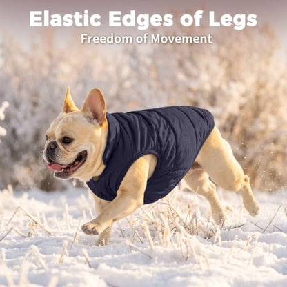 JoyDaog Fleece Lined Dog Jacket for Small Dogs,Winter Dog Coat,Blue S - color: Blue, size: Small