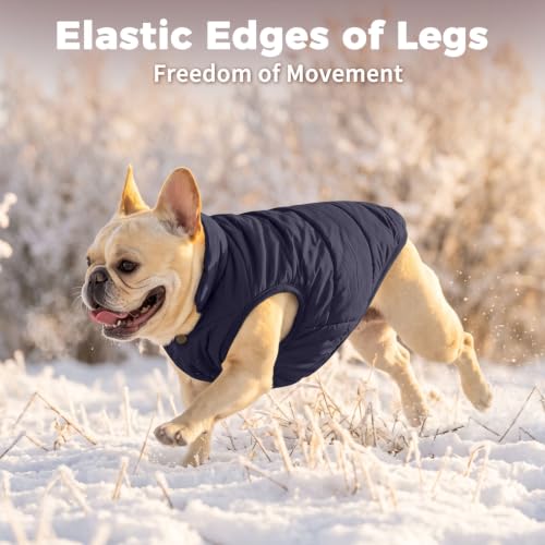 JoyDaog Fleece Lined Dog Jacket for Small Dogs,Winter Dog Coat,Blue M - color: Blue, size: Medium