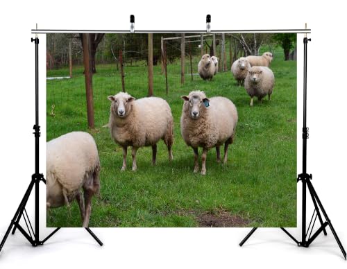 7x5ft Fabric Green Pasture Sheep Backdrop Fluffy White Wool Sheep Wire Fence Lush Grass Farmland Bright Sky Photography Background Tapestry Farm Animal Decorations Photo Booth Props - size: 7x5ft
