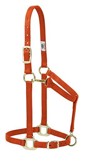 Weaver Leather Original Adjustable Nylon Horse Halter, Average Horse, Orange