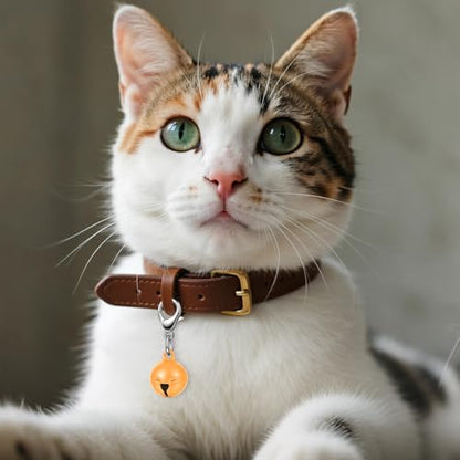 Larrel 14 Pcs Pet Bell, Small Dog Collar Bell with Key Rings Clasps Cat Collar Charms Pet Pendant Accessories for Small Animal Dog Goat Puppy Kitty Pets Training to go Outside 1/2-Inch (Colourful)