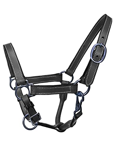 Foal Size Leather Halter with Steel Plated Hardware - color: Black