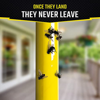 Black Flag Fly Stick, Trap Houseflies and Flying Insects, Pack of 6 - size: 6 Pack, style: Fly Stick