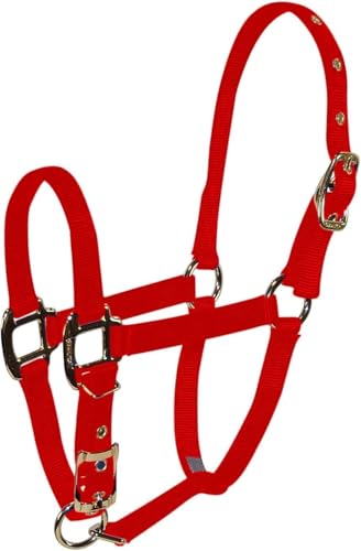 Hamilton Deluxe Adjustable Horse Halter, 100-200 lbs, Red - color: Red, size: Foal, 100-200lbs