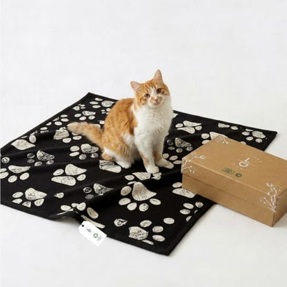 Organic Cotton Pet Blanket 30x40, Sherpa, Beige Jacquard Paw - color: Beige Paw/Black