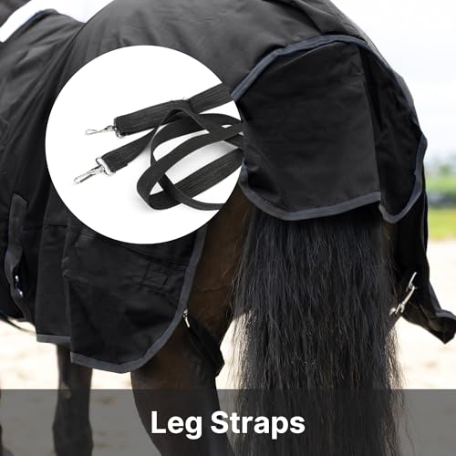 RESISTANCE Premium 1200 Denier Waterproof Horse Turnout Blanket with 300g Polyfill & Adjustable Buckle Closure - color: Black, size: 64"