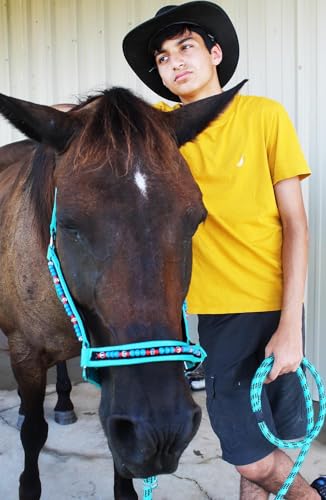 CHALLENGER Horse Halter Glitter Nylon Adjustable Padded Lead Rope 606216-C - color: Brown Glitter, size: Cob