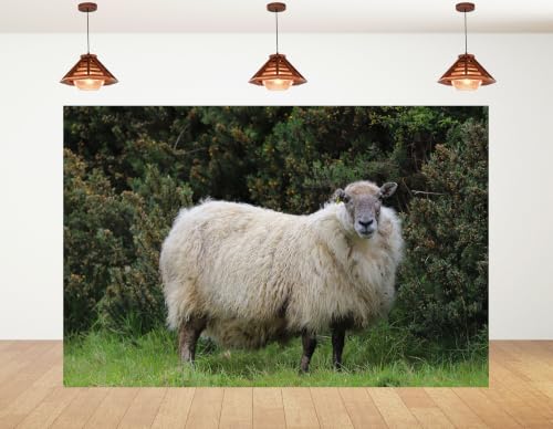 10x8ft Fabric Fluffy Wool Sheep Backdrop Single White Sheep Lush Green Bush Grass Bright Clear Blue Sky Background Tapestry Party Farm Animal Decorations Photo Booth Props - size: 10x8ft