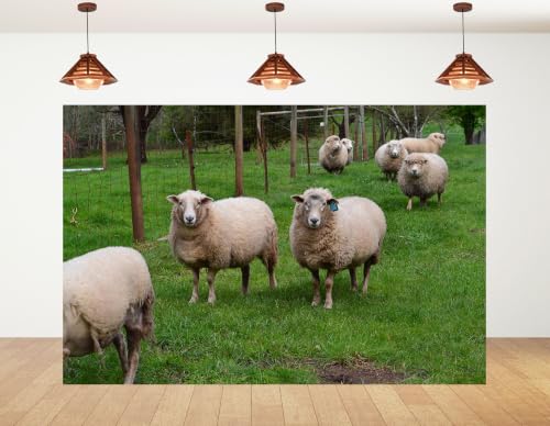 5x3ft Fabric Green Pasture Sheep Backdrop Fluffy White Wool Sheep Wire Fence Lush Grass Farmland Bright Sky Photography Background Tapestry Farm Animal Decorations Photo Booth Props - size: 5x3ft