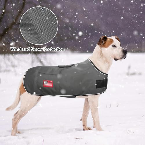 BEAUTYZOO Dog Winter Coat for X-Large Dogs, Waterproof Canvas Jackets - color: Grey, size: XL(Chest Girth 34"-45", Back 24", Neck 24"-29")
