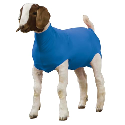 Weaver Livestock Spandex Goat Tube - size: Small, style: Blue