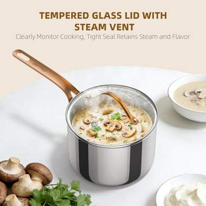Ciwete 3 Quart Sauce Pan with Lid, Upgraded Tri-Ply Stainless Steel Saucepan with Mirror Polishing and 2 Scales, Induction Ready Cooking Pot with Stay-Cool Brass Handle, Dishwasher & Oven Safe - size: 3 Quart (with brass handle)